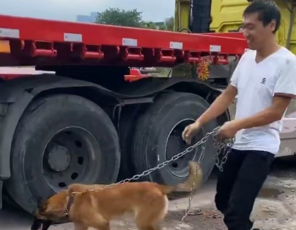 emc易倍品鉴：特殊的“跟车人”为卡车司机保驾护航